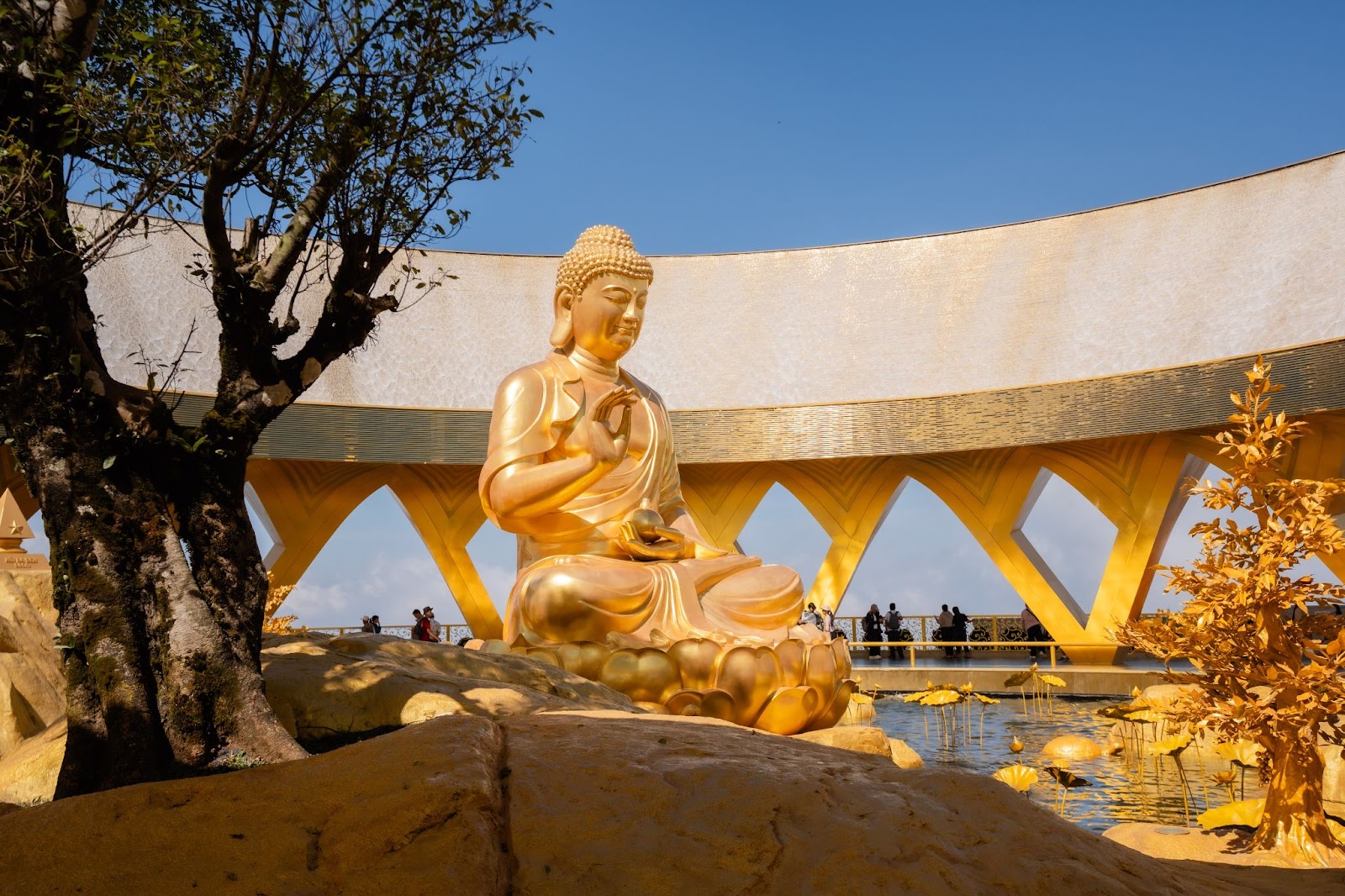 Tượng Phật Câu Na Hàm Mâu Ni trên đỉnh núi Bà 